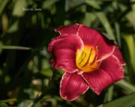 IMG_4267-2.webp