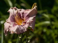 IMG_4314-2.webp