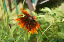 comp_DSC05504.webp