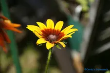 comp_DSC05505.webp