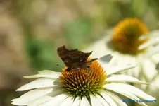 comp_DSC05509.webp