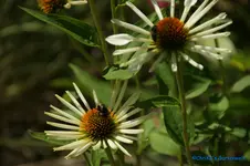 comp_DSC05510.webp