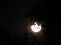 DSCN7689.jpg