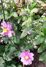 20.7 008.webp