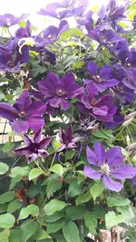 20.7 013.webp