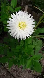 20.7 007.webp