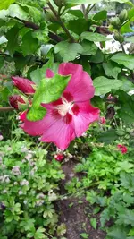 20.7 011.webp