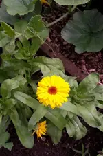 20.7 012.webp