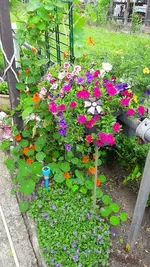 20.7 014.webp