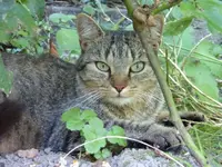 P1210308.webp P1210308.webp