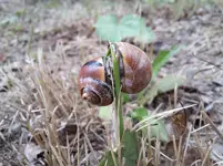 20160615_180341.webp