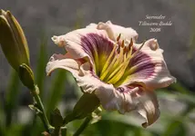 IMG_4348-2.webp