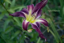 IMG_4373-2.webp