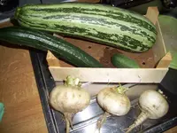 100_2048.jpg