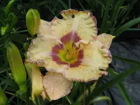 doug warner_1024x768.webp