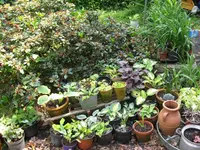 003_1024x768.webp