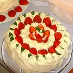 Pavlowav.webp
