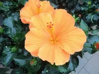 Bilda1244.webp