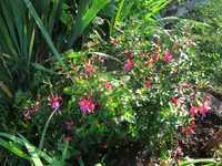 IMG_5093.webp