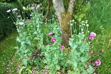 DSCF6904 (2).webp