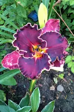 DSC_0139.webp