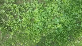20160722_115734.webp
