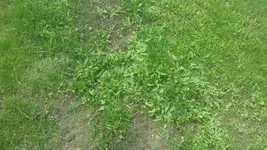 20160722_115739.webp