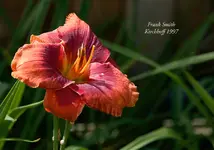 IMG_4474-2.webp