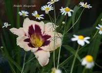 IMG_4478-2.webp