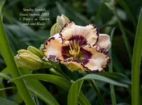 IMG_4490.webp