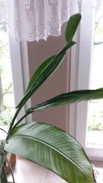 20160722_140552.webp