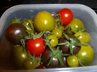 P1010188.webp P1010188.webp