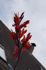 _DSC0806.webp