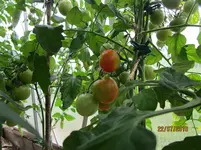 IMG_1311[1].webp