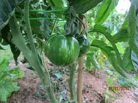 IMG_1288[1].webp