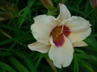k-DSCI4272.webp