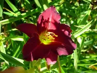 k-DSCI4275.webp