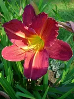 k-DSCI4276.webp