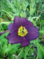 k-DSCI4287.webp