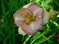 k-DSCI4297.webp