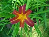 k-DSCI4299.webp