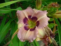 k-DSCI4336.webp