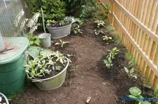 comp_DSC05532.webp