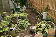 comp_DSC05533.webp