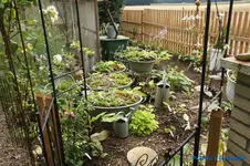 comp_DSC05534.webp