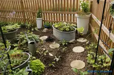 comp_DSC05535.webp