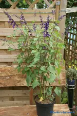 comp_DSC05543.webp