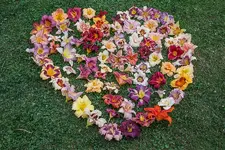 IMG_4558.webp