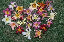 IMG_4564-2.webp