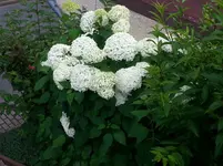 20160722_182739.jpg